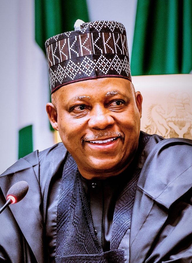 Portrait of Kashim Shettima
